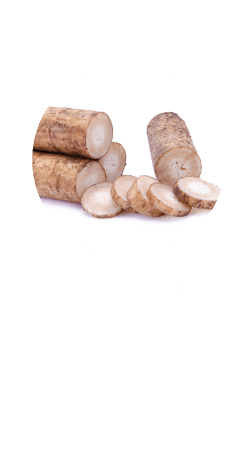 ゴボウ根エキス