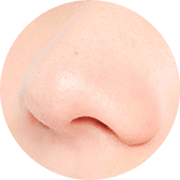 鼻