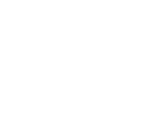 5つのPOINT